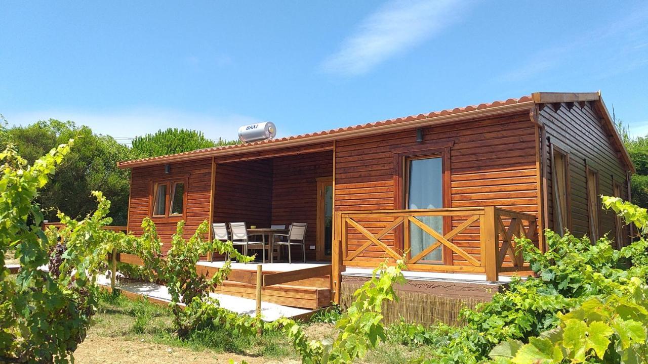 Casa Entre Praias 福斯·杜·阿勒奥 外观 照片